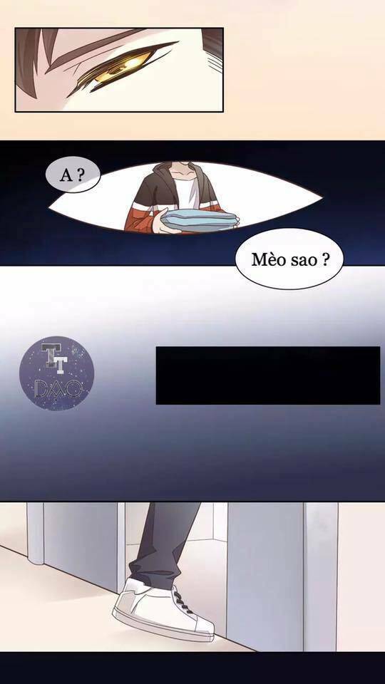 Dưới Móng Vuốt Mèo: Chapter 19