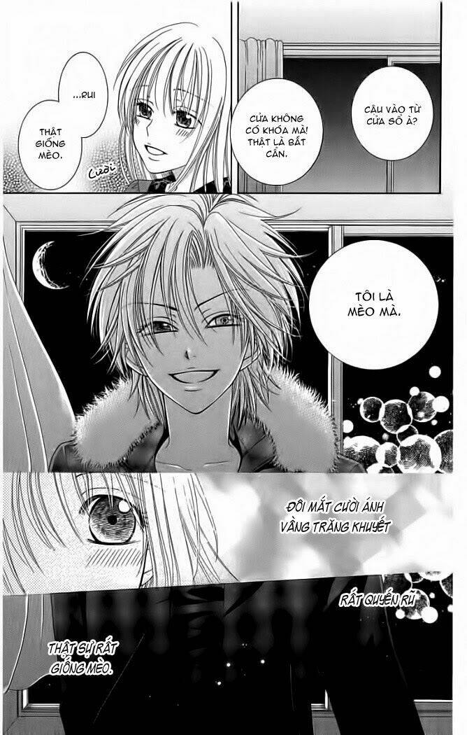 My Dear Cat: Chapter 1