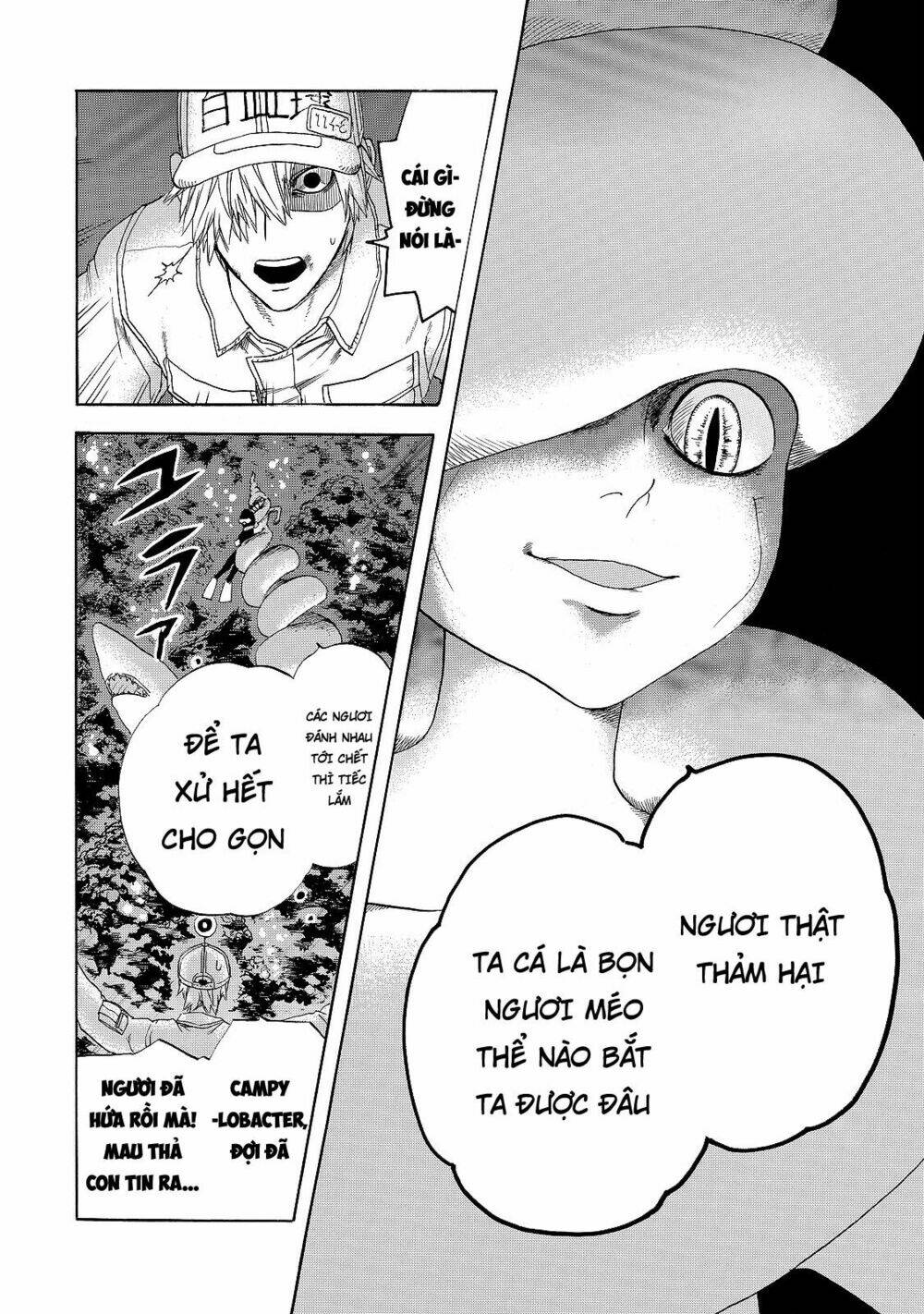 Hataraku Saibou!: Chapter 19