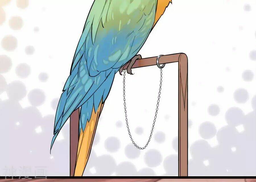 Huyết Túc Khế Ứớc: Chapter 5