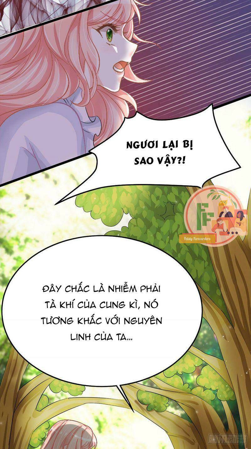 Đặc Công Cuồng Phi: Tuyệt Thế Tu Chân: Chapter 5