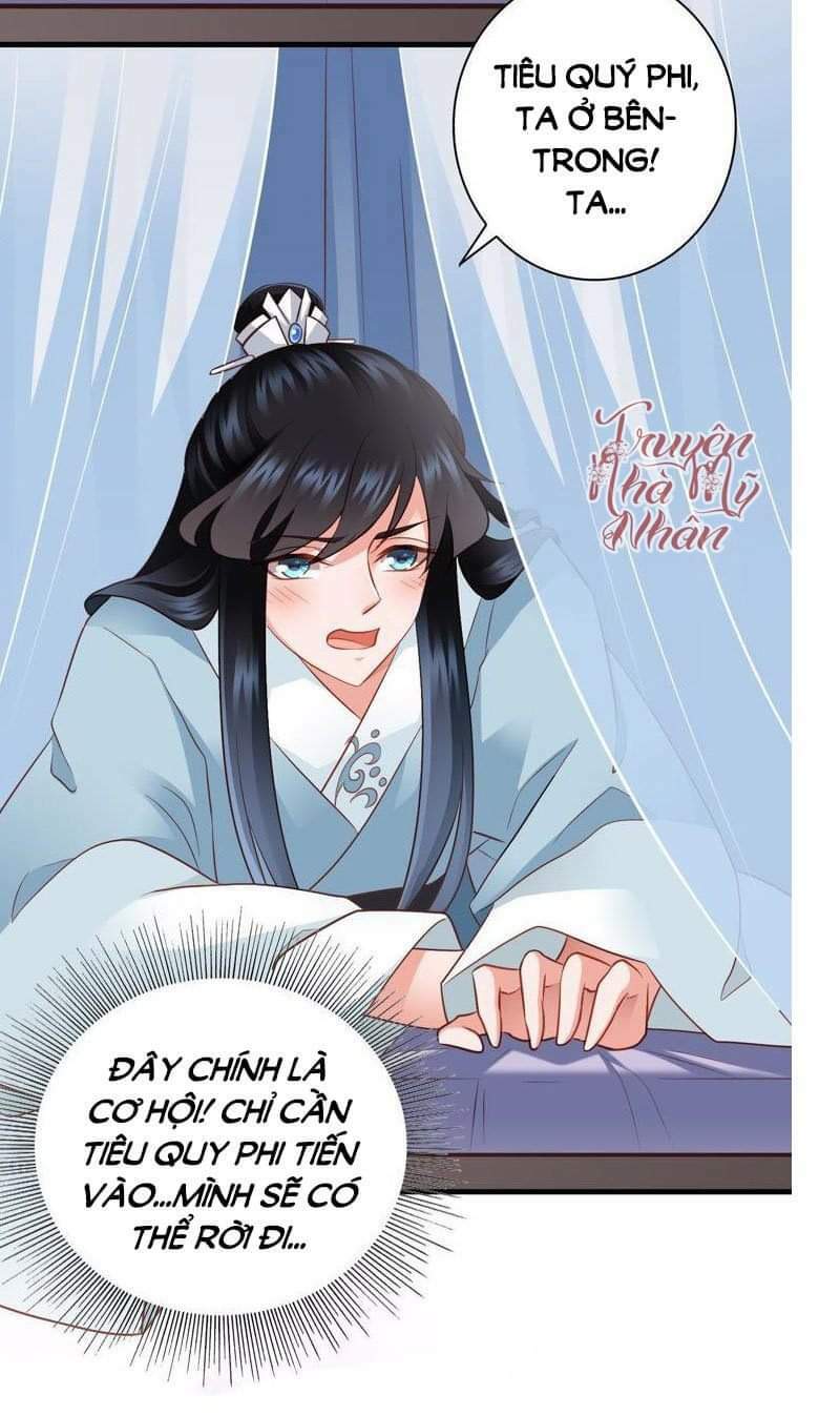 Thái Tử Điện Hạ Có Tin Vui: Chapter 60