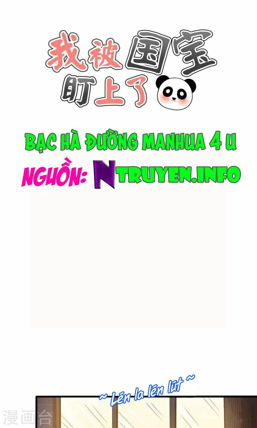 Tôi Bị Gấu Trúc Nhìn Trúng Rồi: Chapter 13
