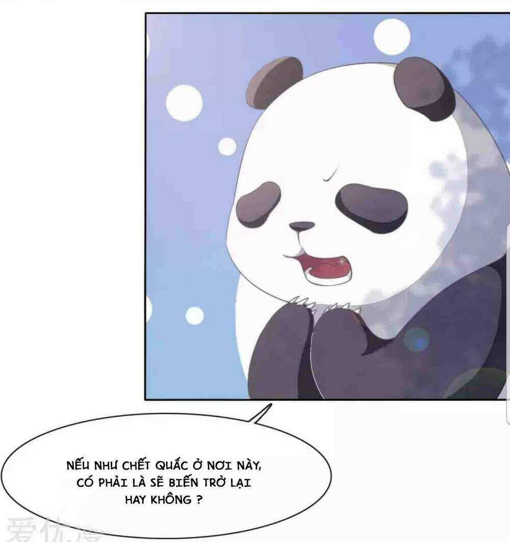 Xuyên Về Cổ Đại Làm Quốc Bảo: Chapter 4