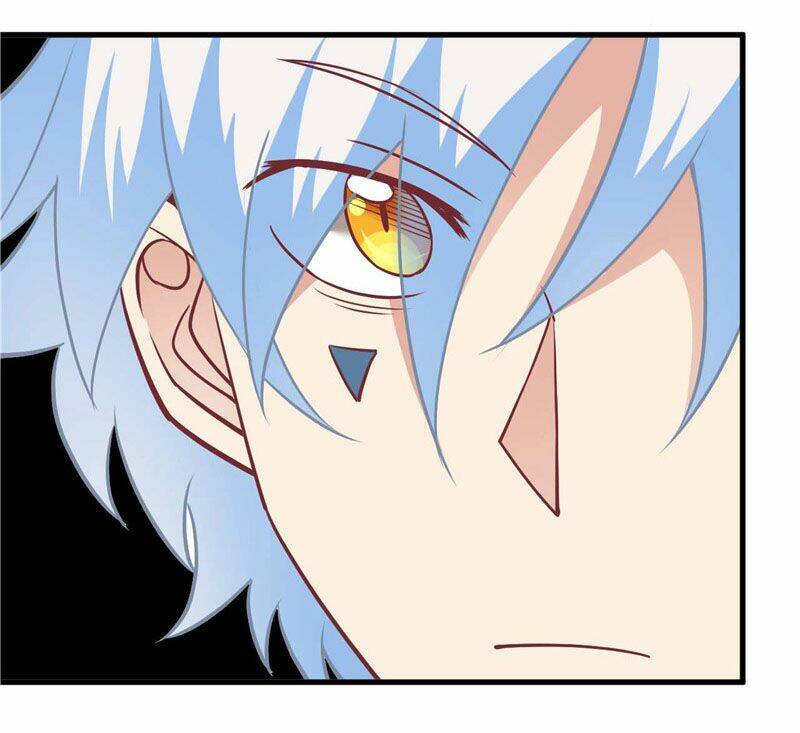 Chí Tôn Võ Đế: Chapter 219