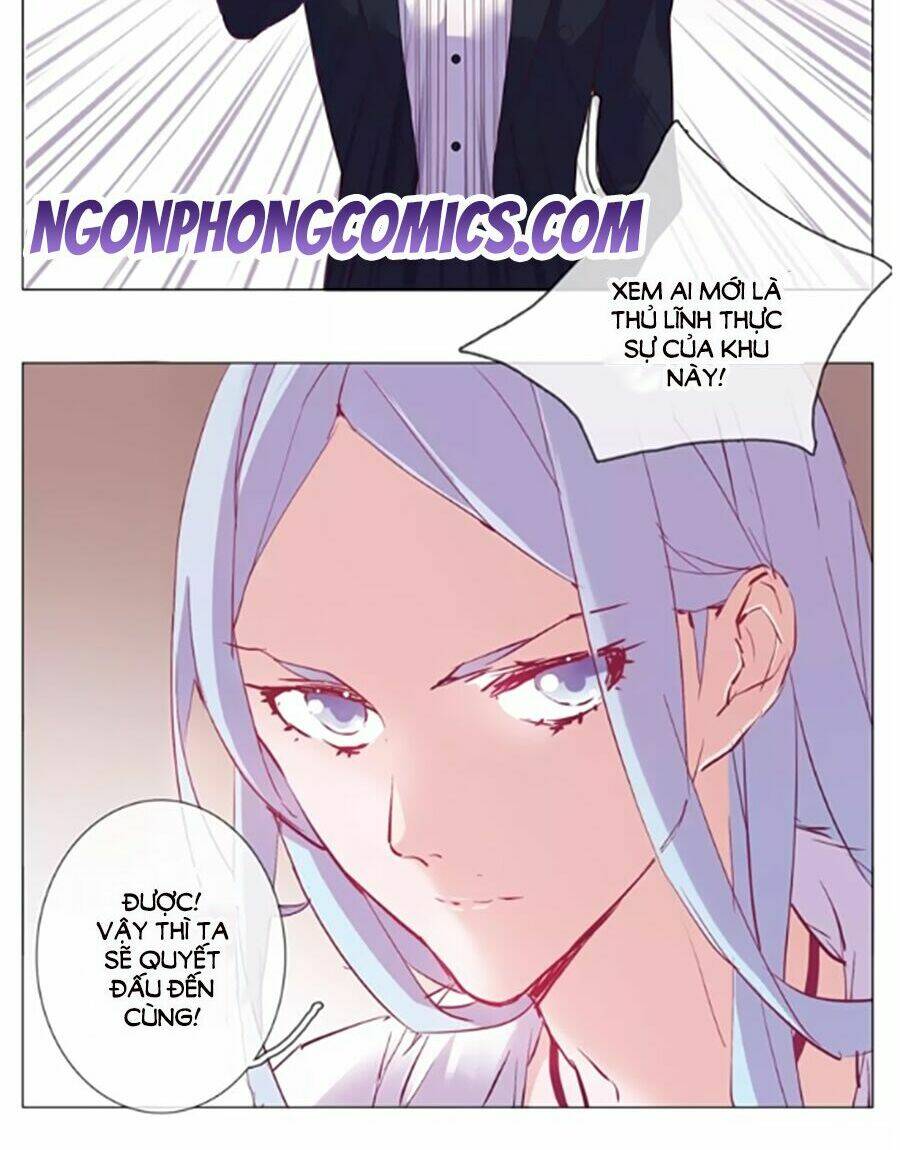 Đừng Nghịch, Ta Chỉ Muốn Yên Tĩnh: Chapter 37