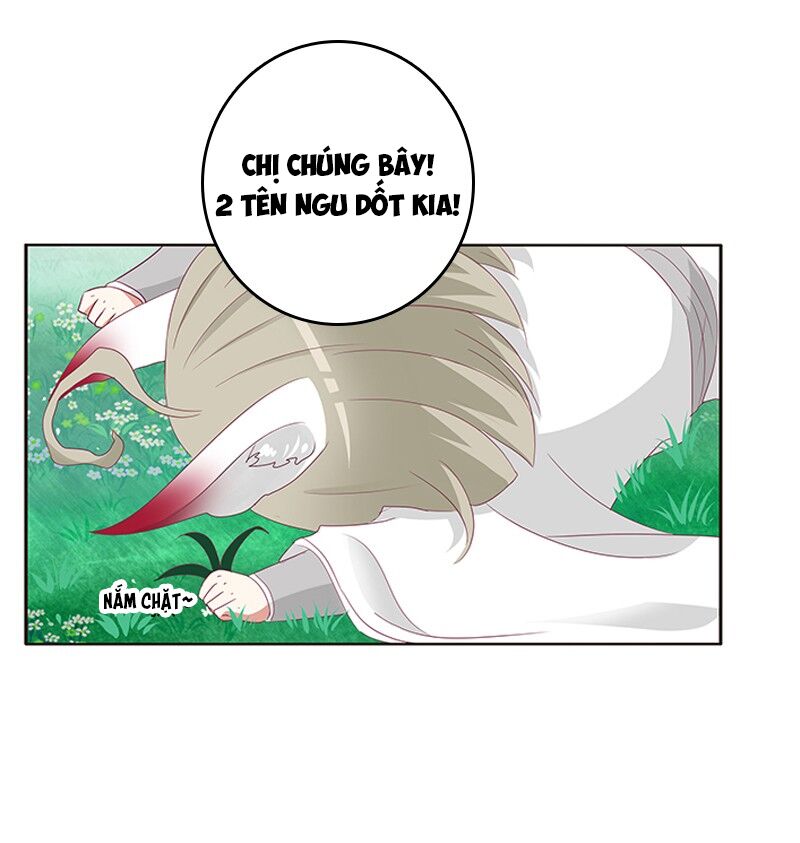 Thông Linh Phi: Chapter 315