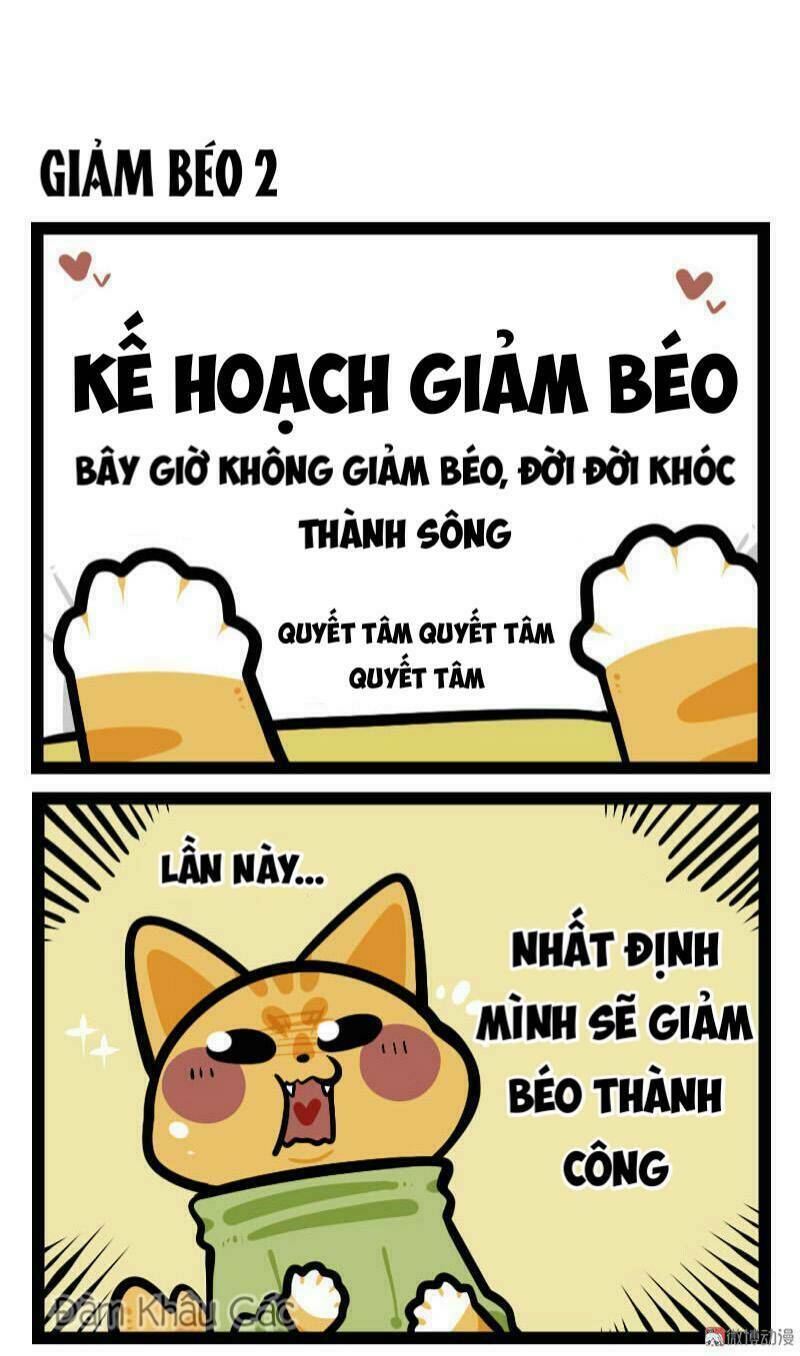 Đời Không Như Mình Tưởng: Chapter 61