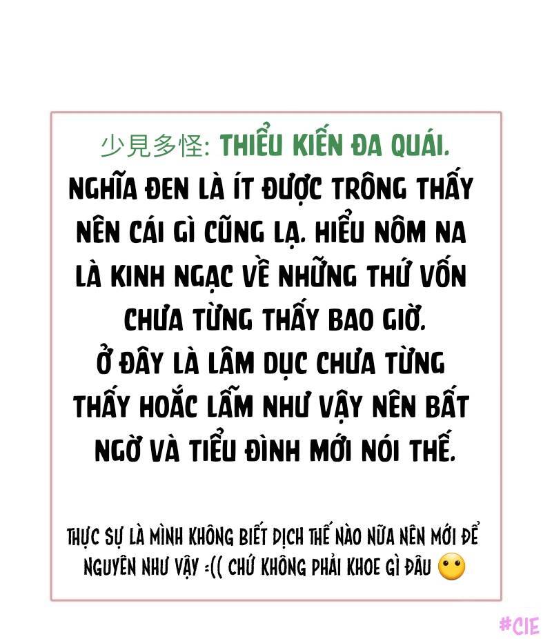 Boss Là Kim Chủ Của Tôi: Chapter 53