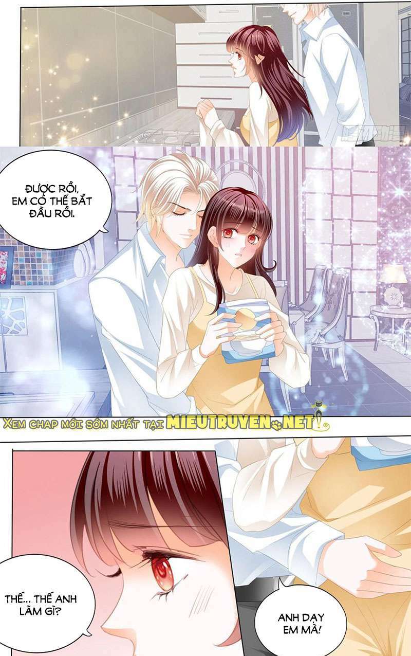 Thiểm Hôn Kiều Thê: Chapter 281