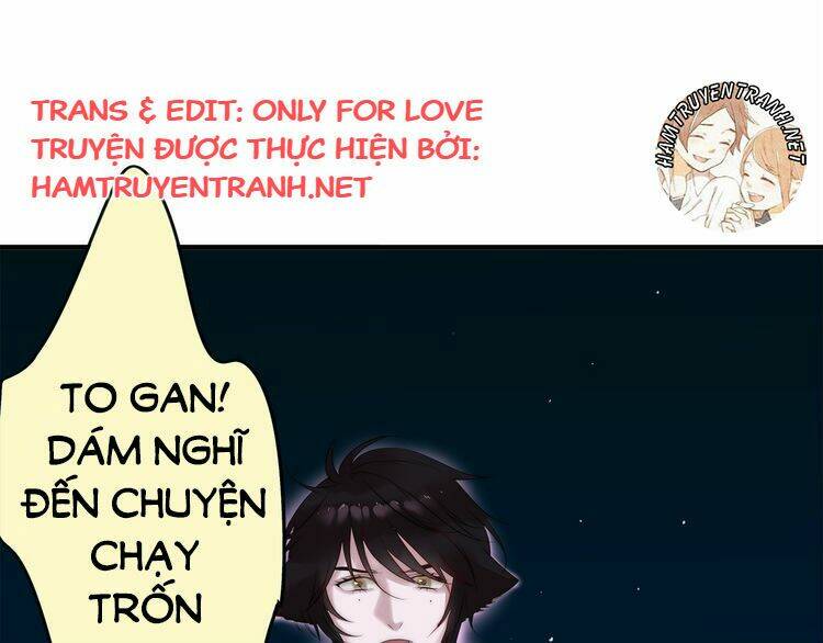 Viện Bảo Tàng Tâm Nguyện: Chapter 3.2