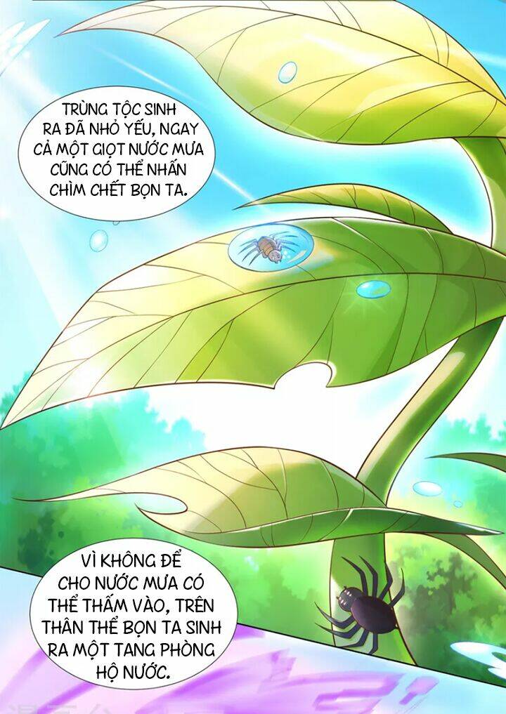 Chí Tôn Trọng Sinh: Chapter 154