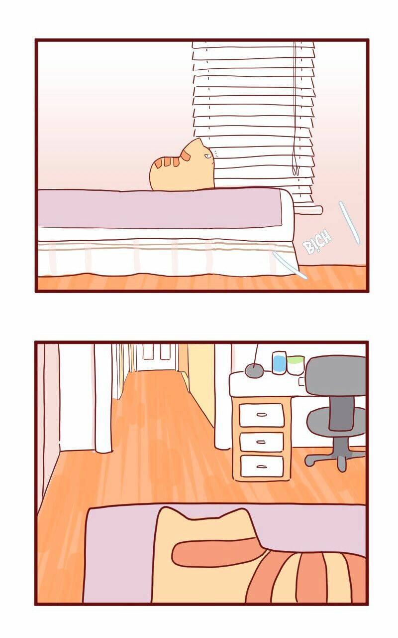 Saphie: Chú mèo một mắt: Chapter 10