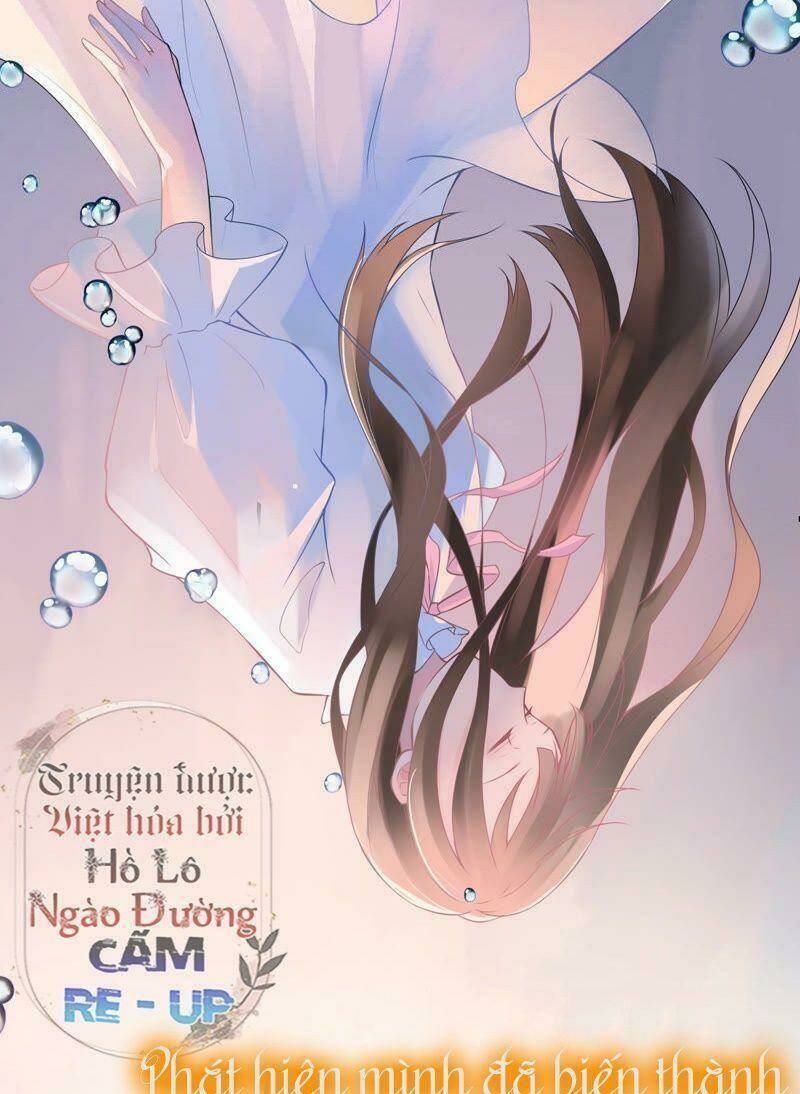 Quận Chúa Vững Vàng, Thiết Lập Nhân Vật Không Thể Vỡ: Chapter 1