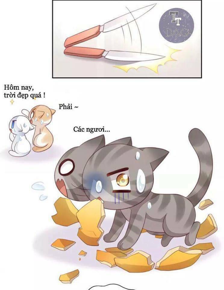 Dưới Móng Vuốt Mèo: Chapter 18