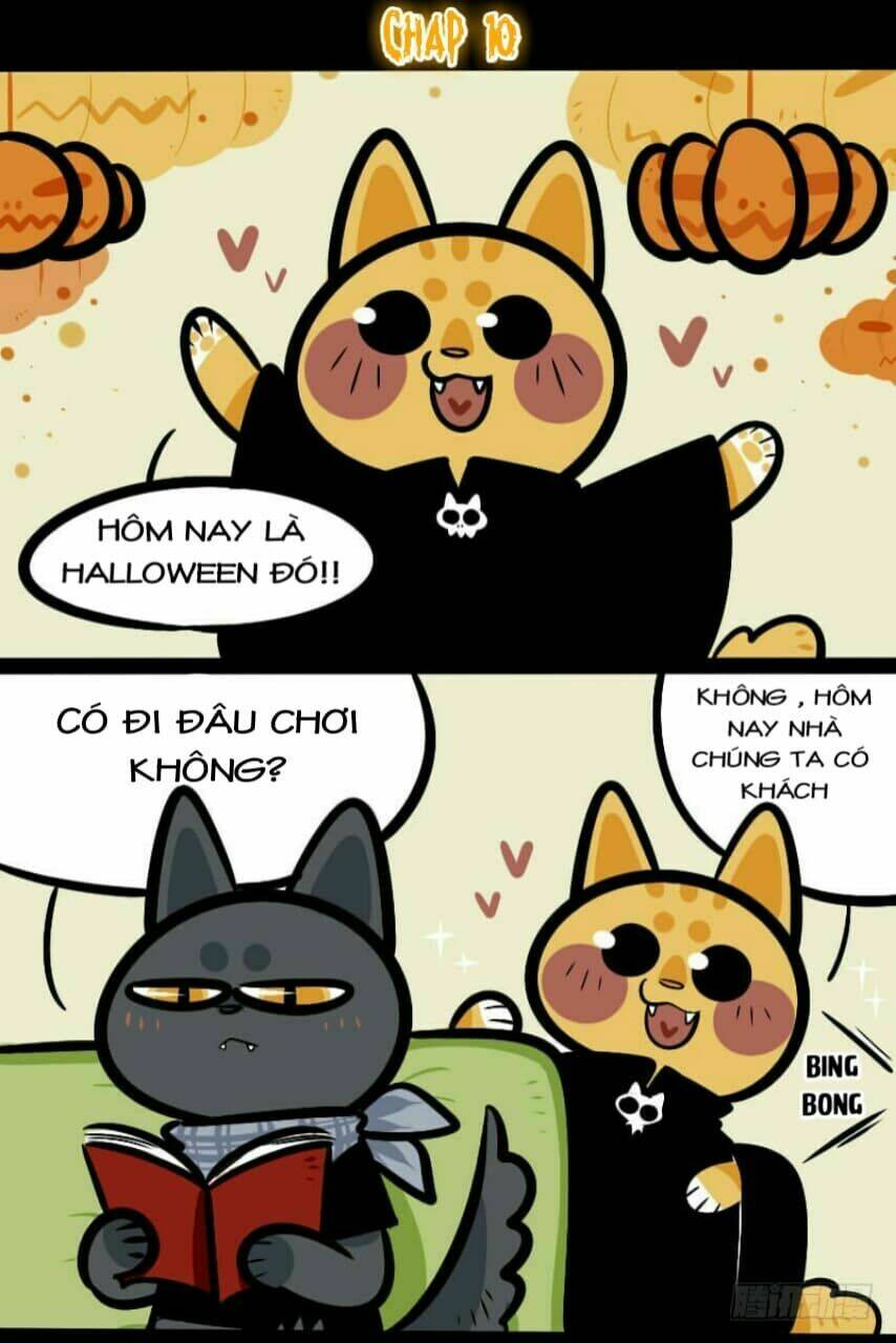 Đời Không Như Mình Tưởng: Chapter 10