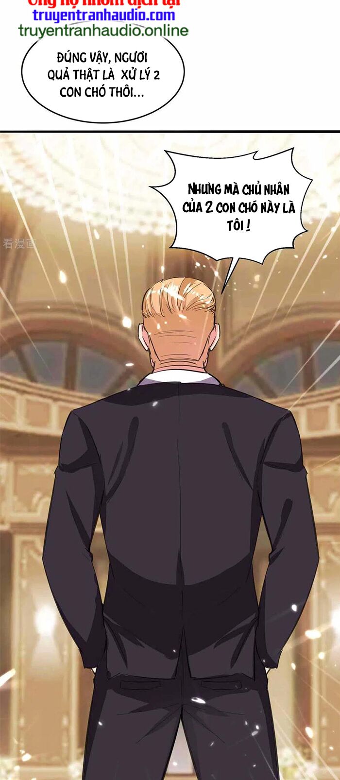 Trọng Sinh Khí Thiếu Quy Lai: Chapter 188