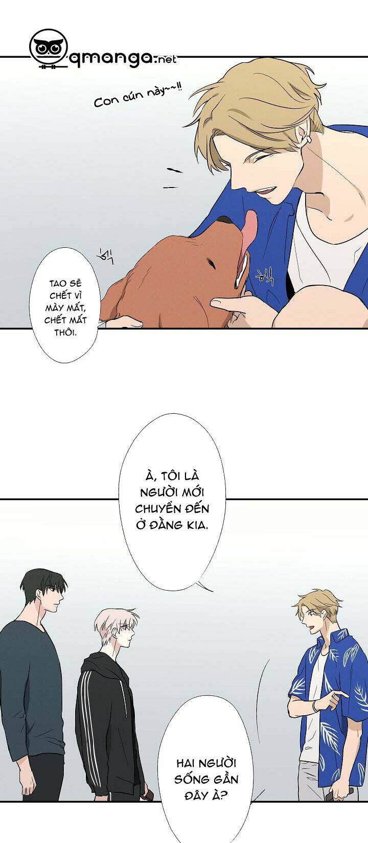 Trốn Tìm: Chapter 13