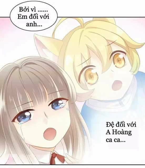 Dưới Móng Vuốt Mèo: Chapter 10