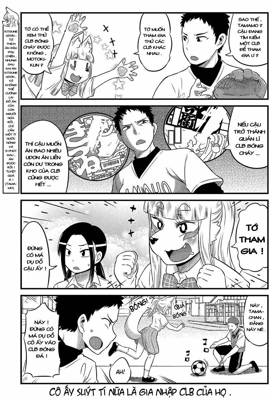 High School Inari Tamamo-Chan: Chapter 12