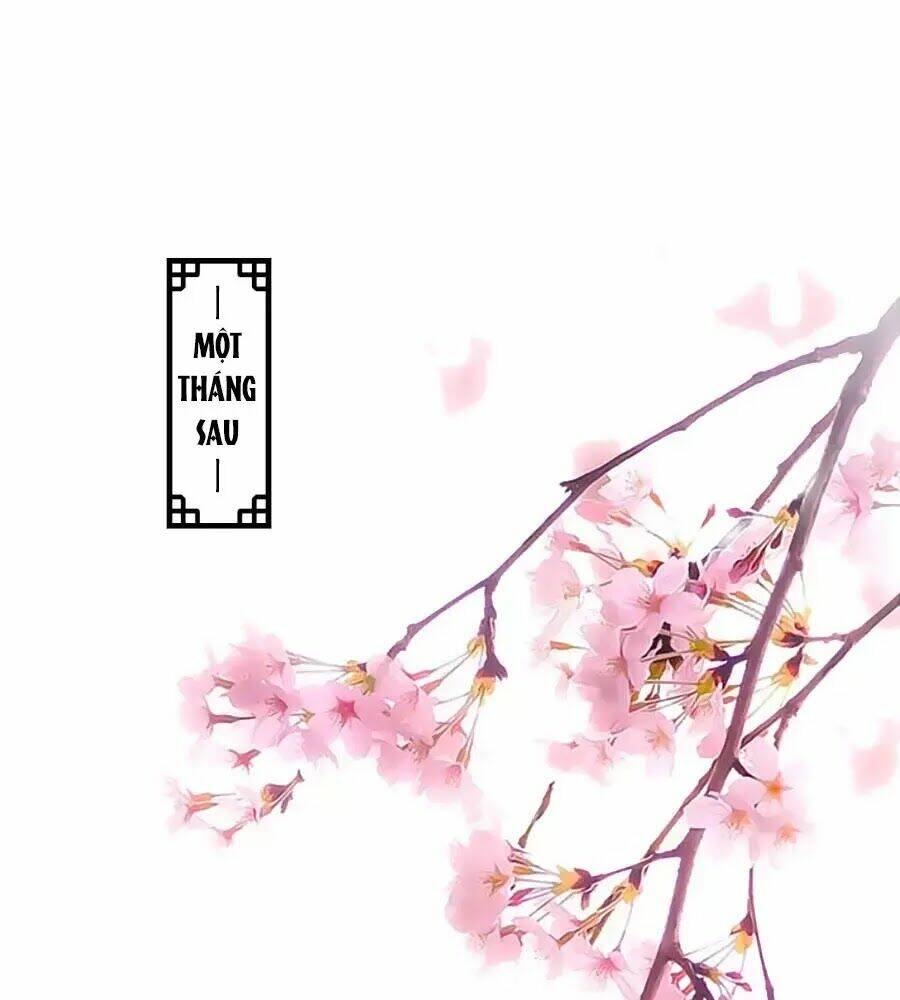 Thịnh Thế Lê Hoa Điện: Chapter 67