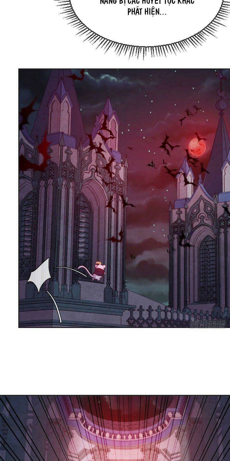 Vân Tưởng Chi Ca: Truy Ái Chỉ Lệnh: Chapter 35