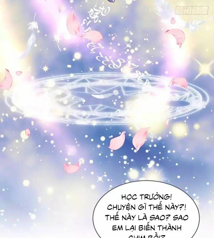 Thịnh Thế Hoa Sủng: Tôi Bị Bắt Làm Tù Binh: Chapter 13