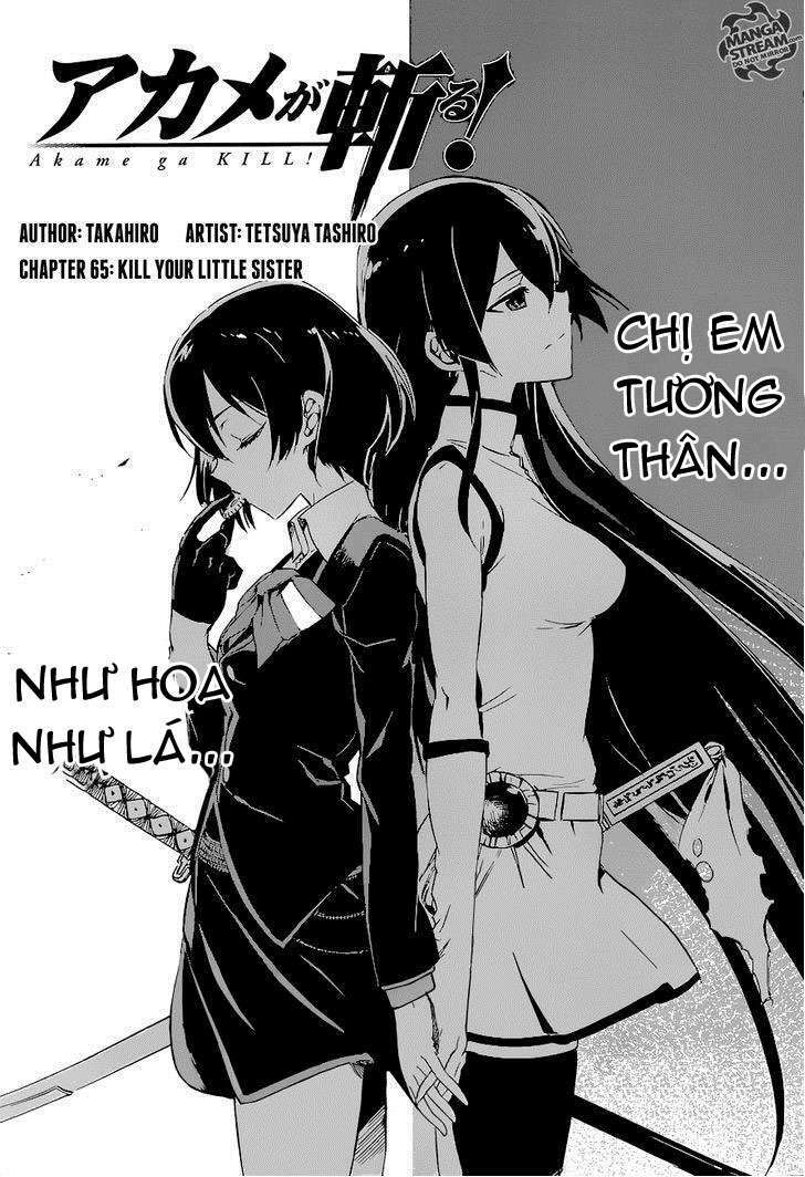 Akame Ga Kiru: Chapter 65