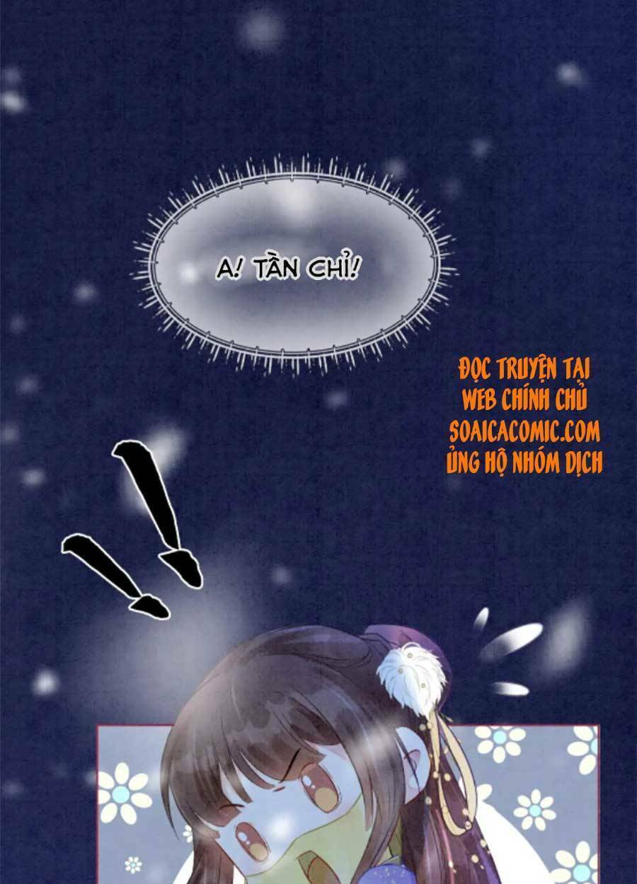 Xung Hỉ Vương Phi: Chapter 81