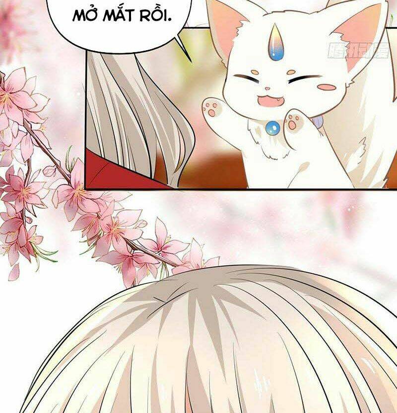 Vương Phi Thật Thích Trang Điểm: Chapter 169