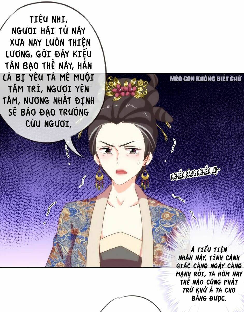 Ồ, Sủng Phi Đại Nhân Của Ta: Chapter 3