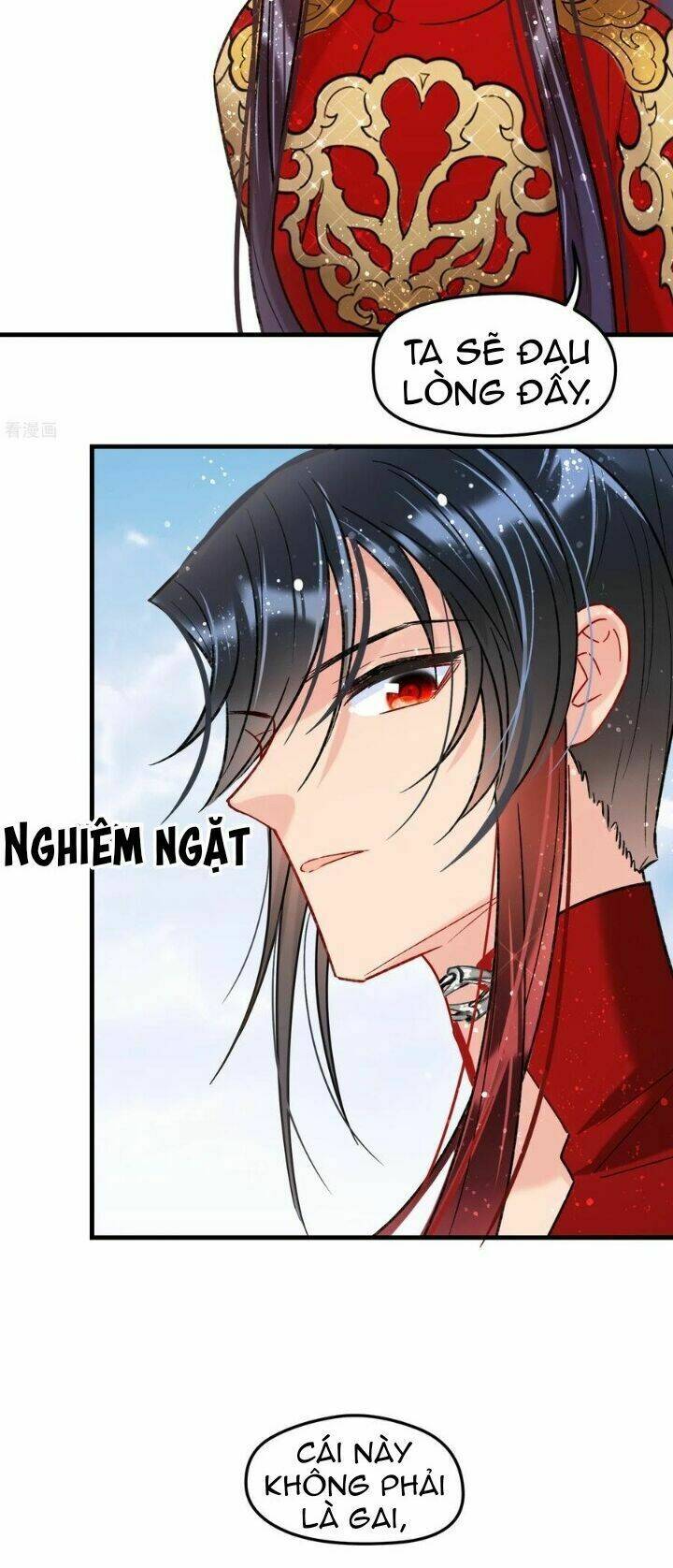 Bệ Hạ Nhà Ta Muốn Hại Quốc: Chapter 40