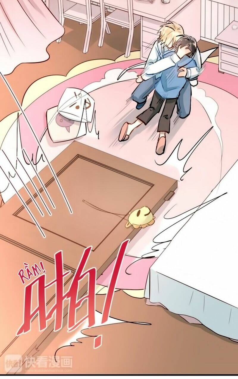 Đầu Gấu Biết Yêu: Chapter 17.1