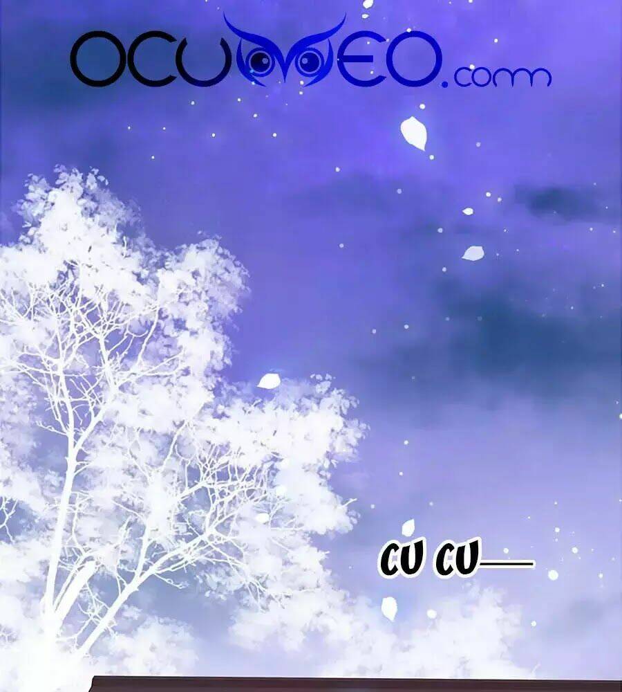 Tiểu Sư Phụ, Tóc Giả Của Ngài Rơi Rồi!: Chapter 14