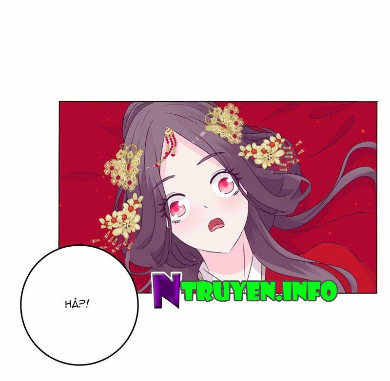 Tướng Quân Mời Ra Trận: Chapter 5