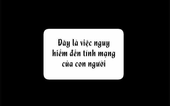 Công Chúa Của Loài Chim: Chapter 11