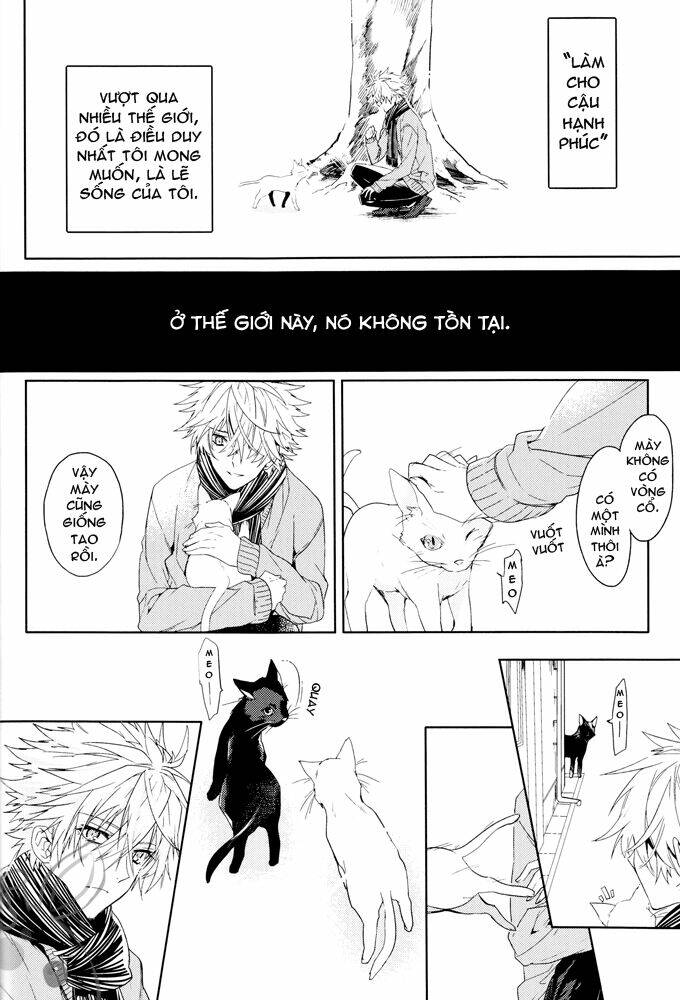 Hạnh Phúc Và Ước Muốn Của Cậu Là…?: Chapter 1