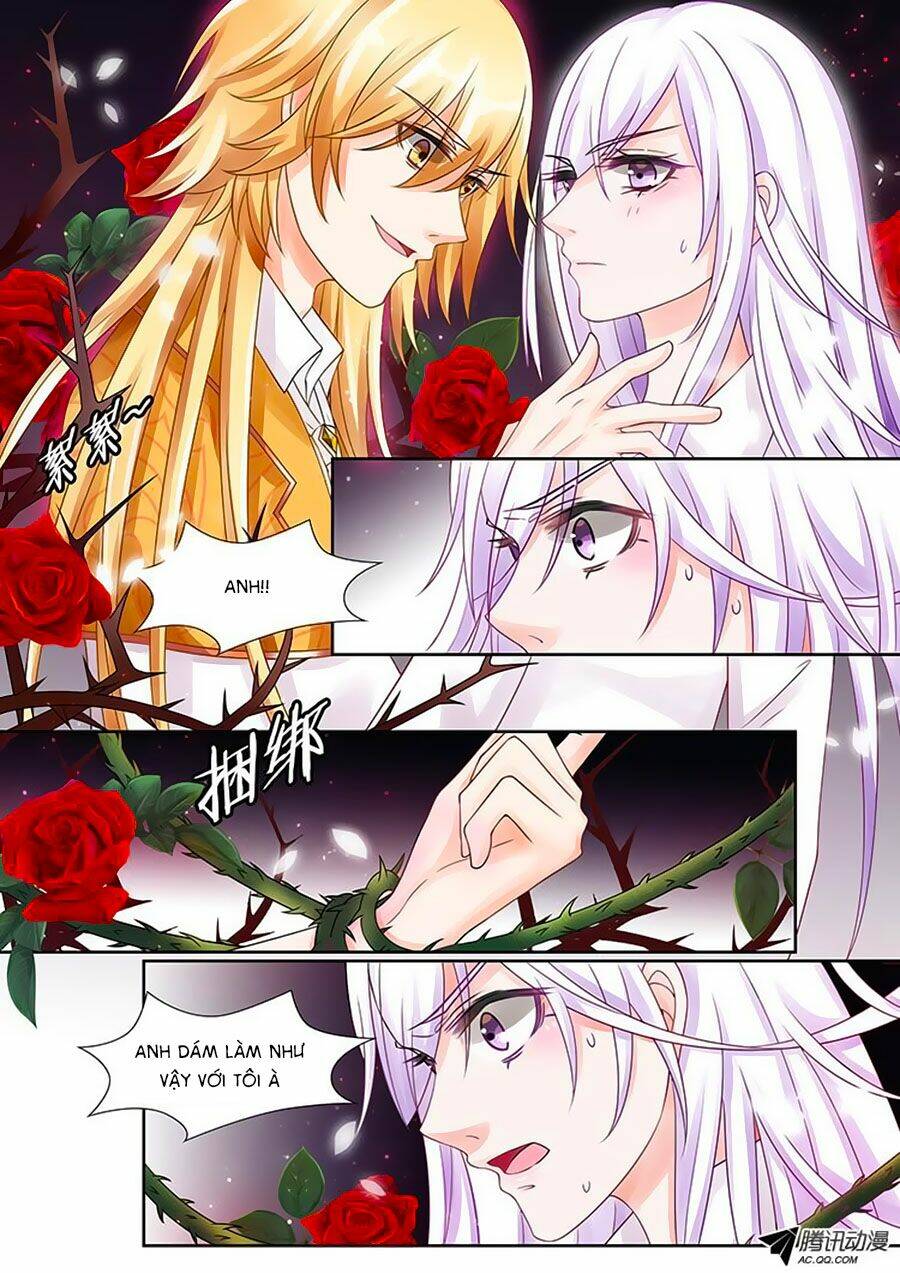 Chước Chước Lưu Ly Hạ: Chapter 26