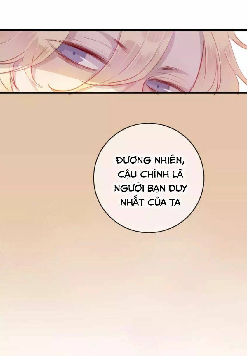 Hồ Minh Chi Hương: Chapter 10