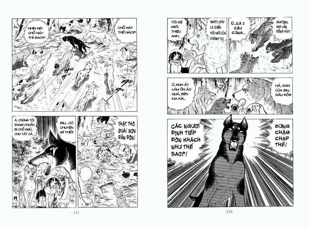 Chú Chó Có Nghĩa - Ginga Nagareboshi Gin: Chapter 25