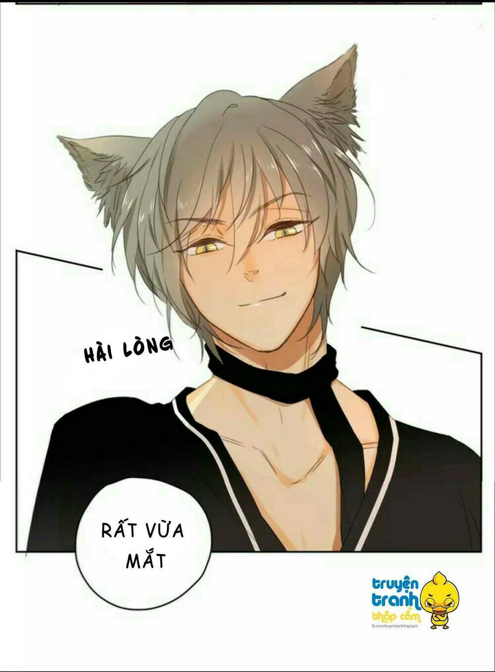 Cứu Mạng! Loài Mèo Thống Trị Thế Giới Rồi!: Chapter 36
