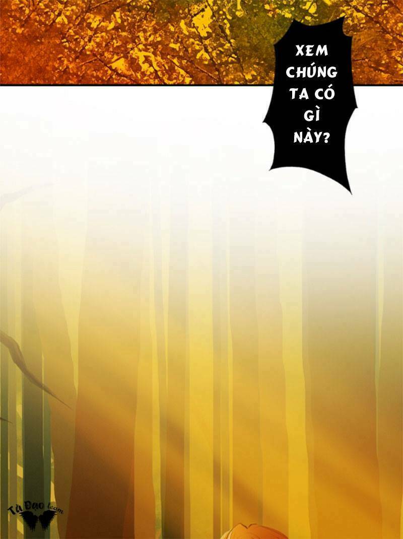 Lãnh Huyết Vương (King): Chapter 1