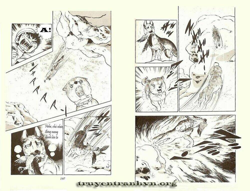 Chú Chó Có Nghĩa - Ginga Nagareboshi Gin: Chapter 4