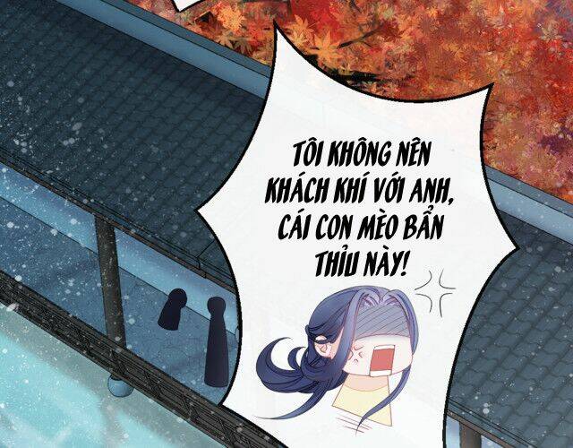 Mau Xuyên Không Rửa Tội Cho Nhân Vật Phản Diện: Chapter 11