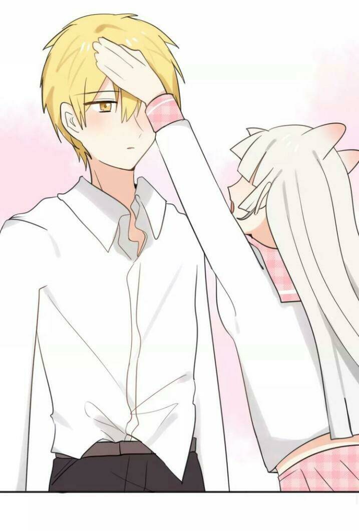 Thú Sủng Của Tôi Bị Mất Trí Rồi: Chapter 41