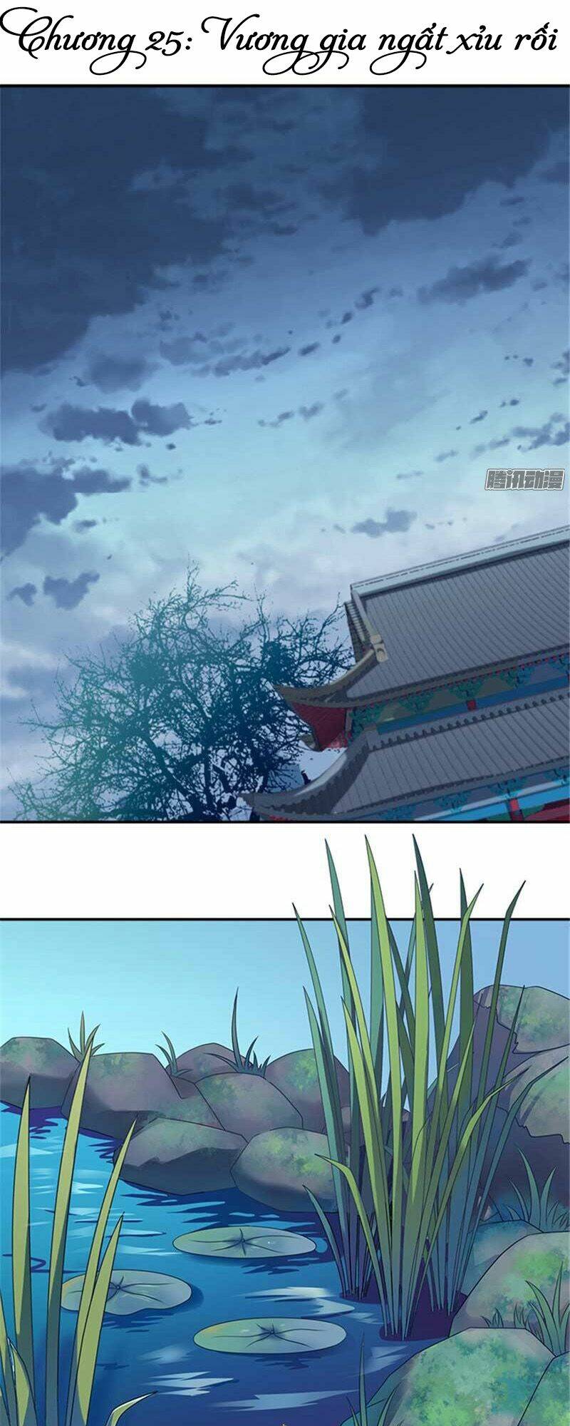 Tận Diệt Vương Gia Mãn Triều: Chapter 25