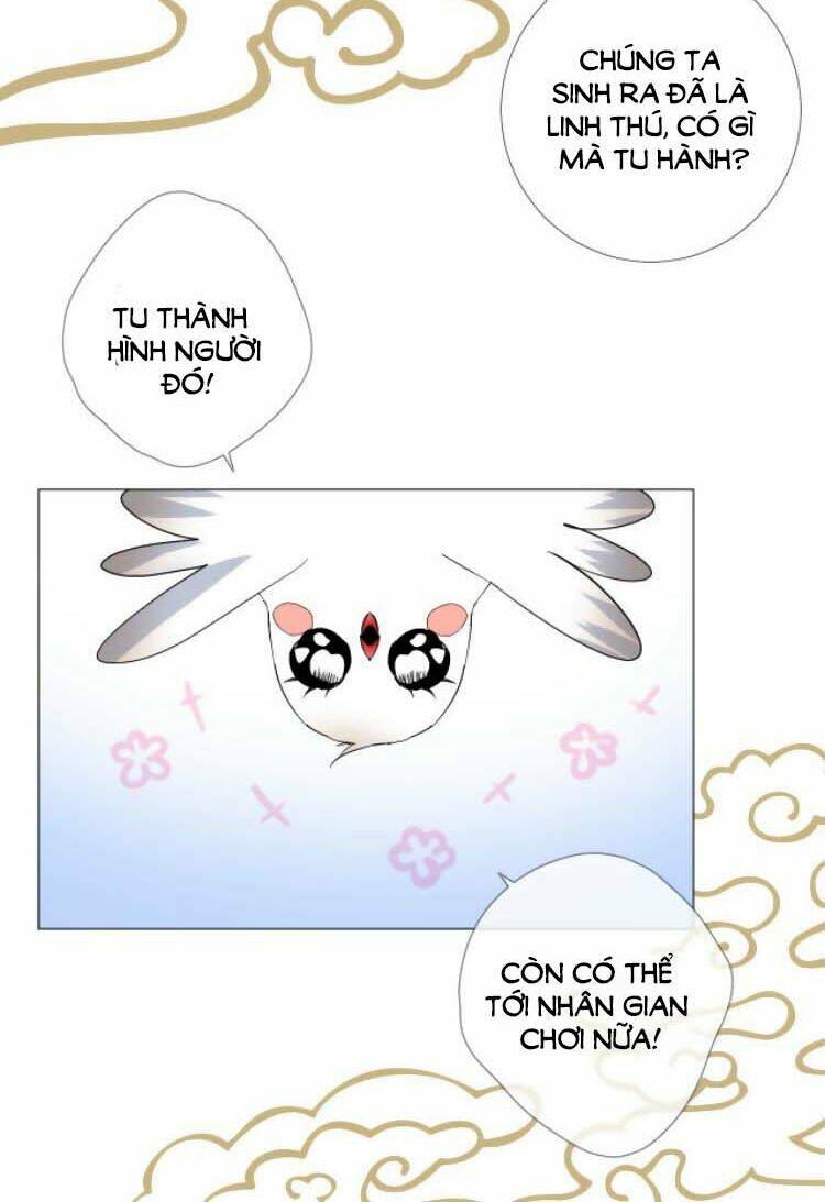 Sao Lại Là Yêu?: Chapter 35