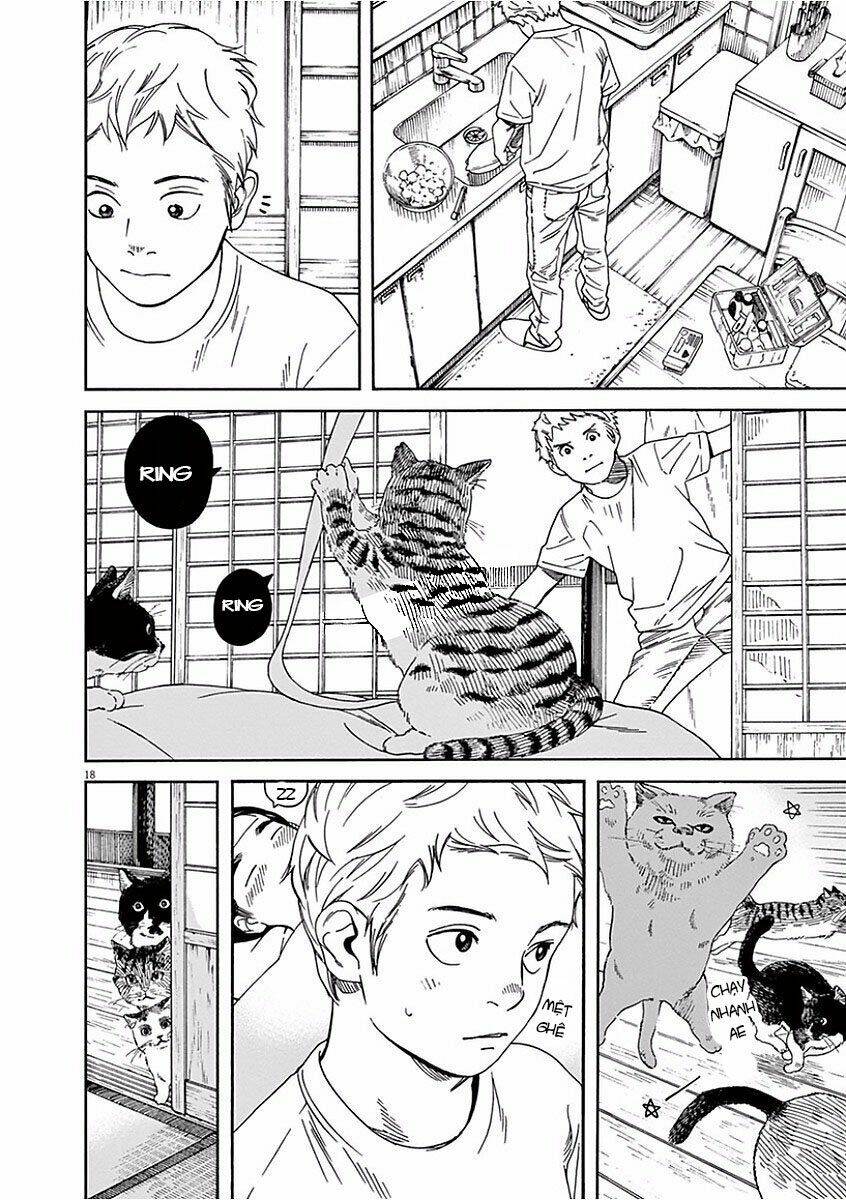 Neko No Otera No Chion-San: Chapter 42