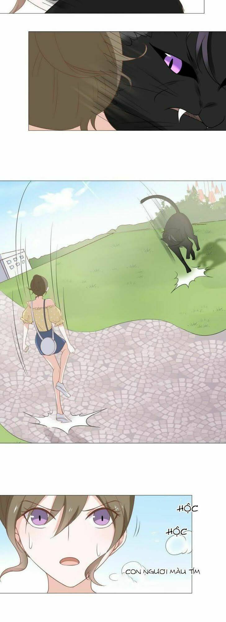 Thập Nhị Hắc Miêu: Chapter 10