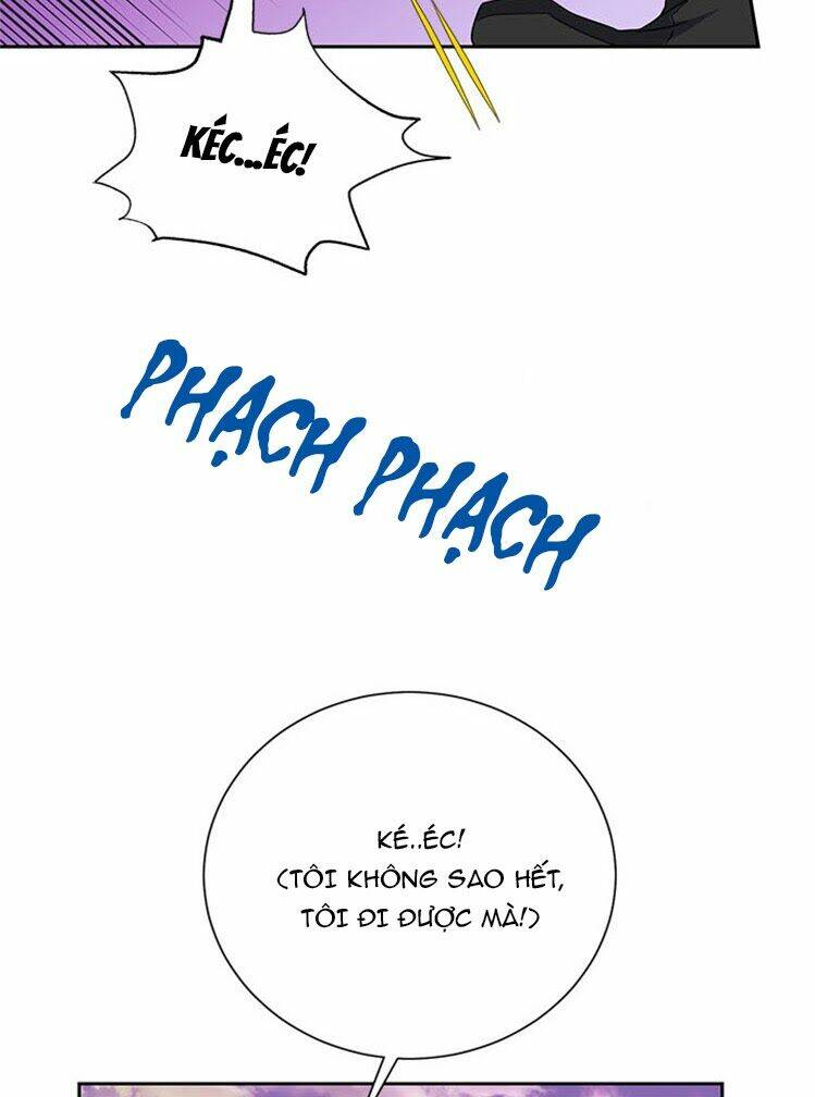 Công Chúa Của Loài Chim: Chapter 15